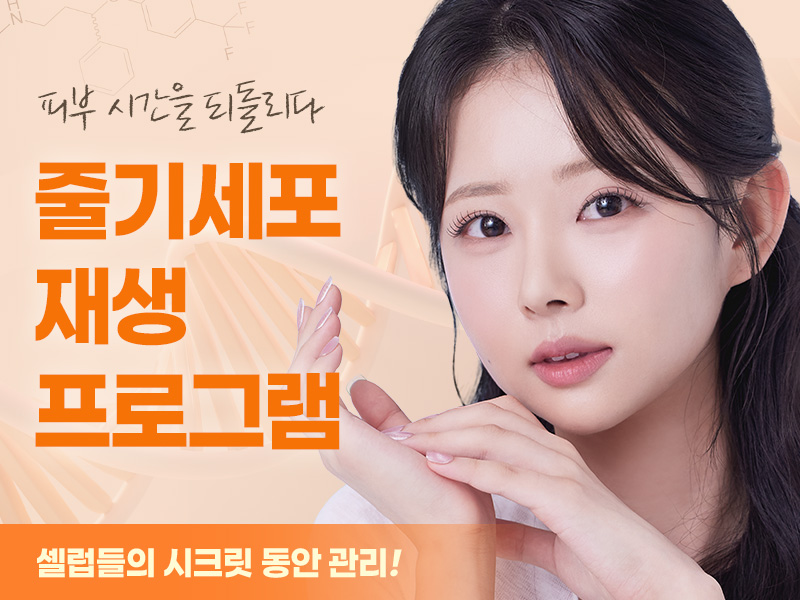 피부재생 프로그램